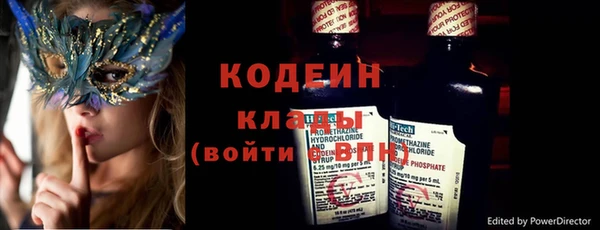 индика Алзамай
