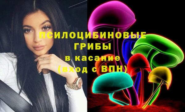 ешки Арсеньев